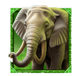 สัญลักษณ์พิเศษ ช้าง เกม WILD WILDEBEEST WINS ค่าย PRAGMATIC PLAY