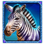สัญลักษณ์พิเศษ ม้าลาย เกม WILD WILDEBEEST WINS ค่าย PRAGMATIC PLAY