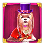 สัญลักษณ์พิเศษ หมาชิสุ เกม THE DOG HOUSE ROYAL HUNT ค่าย PRAGMATIC PLAY