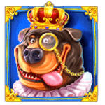 สัญลักษณ์พิเศษ หมาพิทบลู เกม THE DOG HOUSE ROYAL HUNT ค่าย PRAGMATIC PLAY
