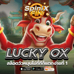 เกม LUCKY OX ค่าย PRAGMATIC PLAY