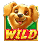 WILD SYMBOL เกม LUCKY DOG ค่าย PRAGMATIC PLAY