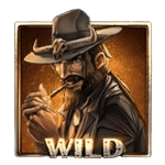 WILD เกม DEAD OR ALIVE 2 ค่าย NETENT SLOT