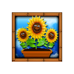 ต้นทานตะวัน เกม MOLEY MOOLAH ค่าย YGGDRASIL SLOT