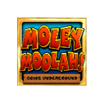 ป้าย MOLEY เกม MOLEY MOOLAH ค่าย YGGDRASIL SLOT