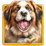 สัญลักษณ์พิเศษ น้องหมาเซนต์เบอร์นาร์ด เกม DAIMOND DOGGIES ค่าย RED TIGER