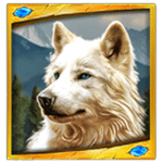 สัญลักษณ์พิเศษ หมาป่าขาว เกม WOLF STACKS MEGAWAYS ค่าย RED TIGER