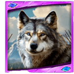สัญลักษณ์พิเศษ หมาป่าดำ เกม WOLF STACKS MEGAWAYS ค่าย RED TIGER