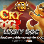 เกม LUCKY DOG ค่าย PRAGMATIC PLAY