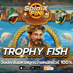 เกม TROPHY FISH ค่าย RED TIGER