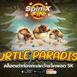 เกม TURTLE PARADISE ค่าย RED TIGER