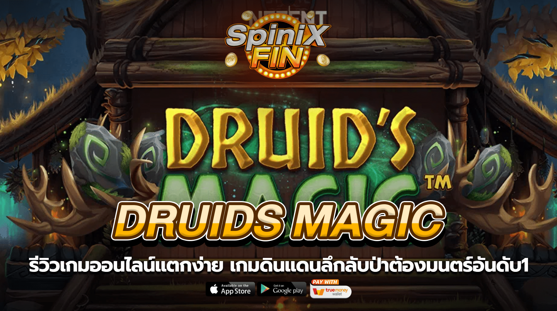 DRUIDS MAGIC ดินแดนลึกลับป่าต้องมนตร์อันดับ1