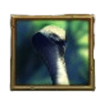 งู เกม JUNGLE SPIRIT MEGAWAYS ค่าย NETENT SLOT