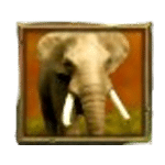 ช้าง เกม JUNGLE SPIRIT MEGAWAYS ค่าย NETENT SLOT