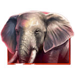 สัญลักษณ์พิเศษ ช้าง เกม SAVANNAH PRIDE ค่าย RED TIGER