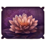 สัญลักษณ์พิเศษ ดอกบัว เกม EMPEROR OF INDIA ค่าย RED TIGER