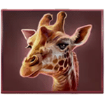 สัญลักษณ์พิเศษ ยีราฟ เกม SAVANNAH PRIDE ค่าย RED TIGER