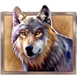 สัญลักษณ์พิเศษ หมาป่า เกม BUFFALO COLLECTOR ค่าย RED TIGER