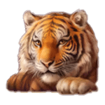 สัญลักษณ์พิเศษ เสือ เกม EMPEROR OF INDIA ค่าย RED TIGER