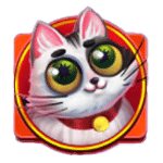 สัญลักษณ์พิเศษ แมวขาวลายดำ เกม HERE KITTY KITTY ค่าย RED TIGER