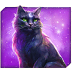 สัญลักษณ์พิเศษ แมวดำ เกม MOON SPELL ค่าย RED TIGER