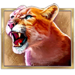 สัญลักษณ์พิเศษ แมวป่า เกม BUFFALO COLLECTOR ค่าย RED TIGER