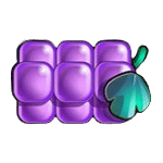 องุ่น เกม REEL RUSH ค่าย NETENT SLOT