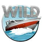 WILD เกม MEGA FORTUNE ค่าย NETENT SLOT