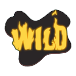 WILD เกม THE WISH MASTER MEGAWAYS ค่าย NETENT SLOT