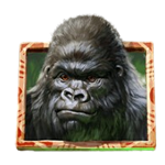 กอริลลา เกม GORILLA KINGDOM ค่าย NETENT SLOT