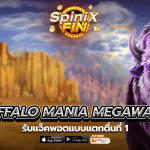เกม BUFFALO MANIA MEGAWAYS ค่าย RED TIGER