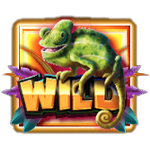 WILD SYMBOL เกม JUMBO SAFARI ค่าย PRAGMATIC PLAY