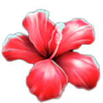 สัญลักษณ์พิเศษ ดอกชบา เกม CLUB TROPICANA HAPPY HOUR ค่าย PRAGMATIC PLAY