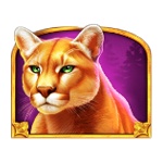 สัญลักษณ์พิเศษ แมวป่า เกม WOLF GOLD 4 PACK ค่าย PRAGMATIC PLAY