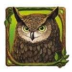 นกฮูก เกม DRUIDS DREAM ค่าย NETENT SLOT