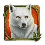 หมาป่าสีขาว เกม DRUIDS DREAM ค่าย NETENT SLOT