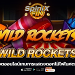WILD ROCKETS การแสดงดอกไม้ไฟศตวรรษ7