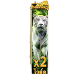WILD SYMBOL เกม BIG CAT RESCUE MEGAWAYS ค่าย RED TIGER
