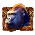 ลิงกอริลลา เกม RAINFOREST GOLD ค่าย NETENT SLOT