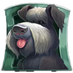 สัญลักษณ์พิเศษ หมา เกม FLODDER ค่าย RED TIGER