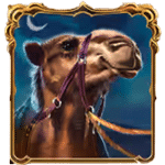 สัญลักษณ์พิเศษ อูฐ เกม 10,001 NIGHTS MEGAWAS ค่าย RED TIGER