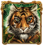 สัญลักษณ์พิเศษ เสือ เกม 10,001 NIGHTS MEGAWAS ค่าย RED TIGER