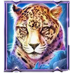 สัญลักษณ์พิเศษ เสือดาว เกม BIG CAT RESCUE MEGAWAYS ค่าย RED TIGER