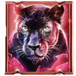 สัญลักษณ์พิเศษ เสือดำ เกม BIG CAT RESCUE MEGAWAYS ค่าย RED TIGER