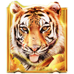 สัญลักษณ์พิเศษ เสือโคร่ง เกม BIG CAT RESCUE MEGAWAYS ค่าย RED TIGER
