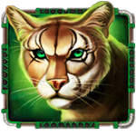 สัญลักษณ์พิเศษ แมวป่า เกม APACHE WAY ค่าย RED TIGER