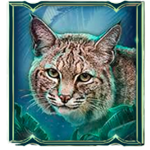 สัญลักษณ์พิเศษ แมวป่า เกม BIG CAT RESCUE MEGAWAYS ค่าย RED TIGER