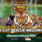 เกม BIG CAT RESCUE MEGAWAYS ค่าย RED TIGER
