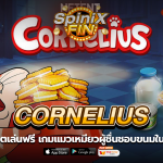CORNELIUS แมวเหมียวผู้ชื่นชอบขนมในปี 2022