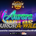 AURORA WILDS แสงเหนือสาดบนท้องฟ้าสไตล์ยุค 90